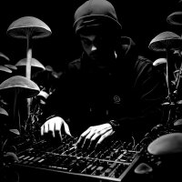 psilocybe profil fotoğrafı