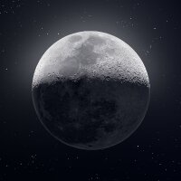 zennyy profil fotoğrafı
