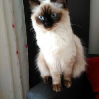 buketcinar profil fotoğrafı