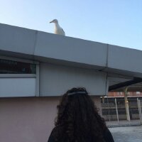 byburcu profil fotoğrafı
