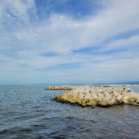 falper profil fotoğrafı
