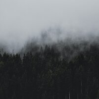 alperenasan profil fotoğrafı