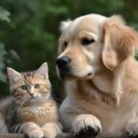 hasan_yilmaz1 profil fotoğrafı
