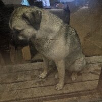 kadirergul1 profil fotoğrafı