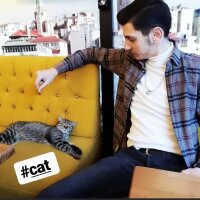 suataktekin profil fotoğrafı