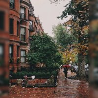 meliskavak profil fotoğrafı