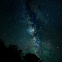 eserrose profil fotoğrafı