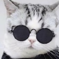 g0zelov profil fotoğrafı