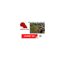karincafd profil fotoğrafı