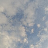 bentropi profil fotoğrafı