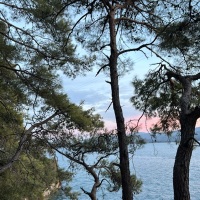 aniloji profil fotoğrafı