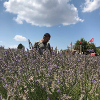 ilkertanriverdi profil fotoğrafı