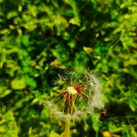 gizemdemirciii profil fotoğrafı