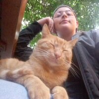 likyanisan profil fotoğrafı