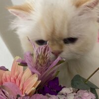 aycadrs profil fotoğrafı