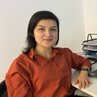 sibelkalafat profil fotoğrafı