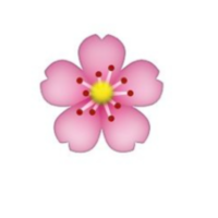 mervebadem1 profil fotoğrafı