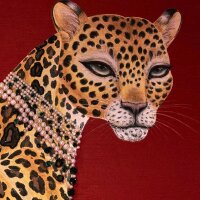 designer333 profil fotoğrafı