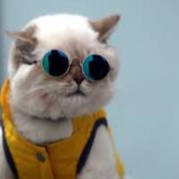 bayrojhat profil fotoğrafı