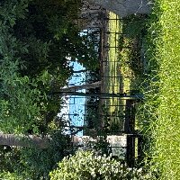 areldolar profil fotoğrafı