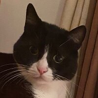 omerdenizyavas profil fotoğrafı