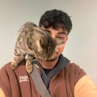 lares1 profil fotoğrafı