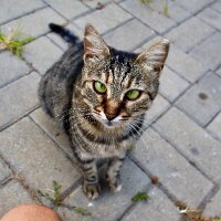 seckinyetkin profil fotoğrafı
