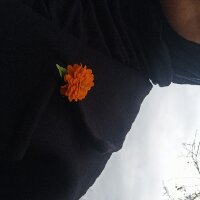 fnurbbcn profil fotoğrafı