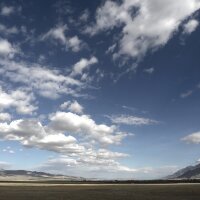 coskunturgut profil fotoğrafı