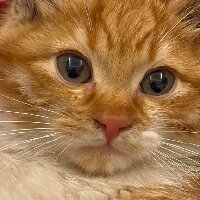 burcu22 profil fotoğrafı