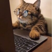 dilekmut profil fotoğrafı