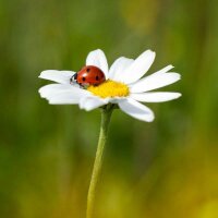 htcdnz3457 profil fotoğrafı