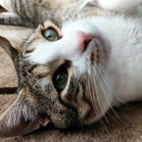 eray0606 profil fotoğrafı