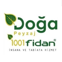 selimsadik profil fotoğrafı