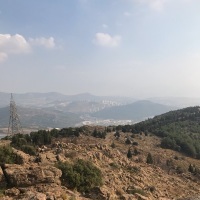 onlinept profil fotoğrafı