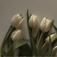 nazliyuce3 profil fotoğrafı