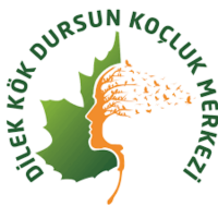 engindursun profil fotoğrafı