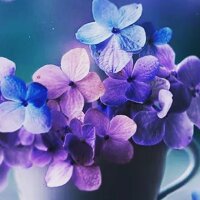 zehramacit profil fotoğrafı