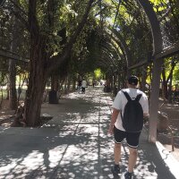 ahmetk0 profil fotoğrafı