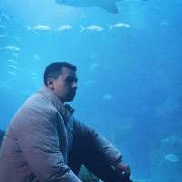 alimmahdum profil fotoğrafı