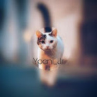 yoeni_jr profil fotoğrafı