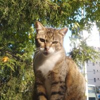 melikexozturkx profil fotoğrafı