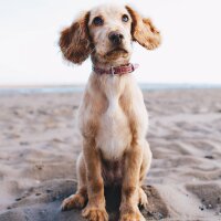 kisiselizm profil fotoğrafı