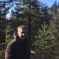 sarikus44 profil fotoğrafı