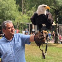 basegmez profil fotoğrafı