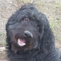 aydaem profil fotoğrafı