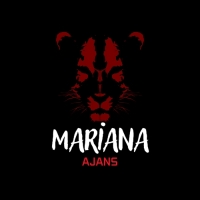 mapajans profil fotoğrafı