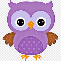 erenaltann profil fotoğrafı