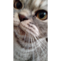 posterciniz profil fotoğrafı