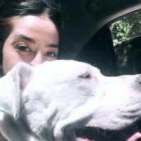 gokcenuruyar profil fotoğrafı